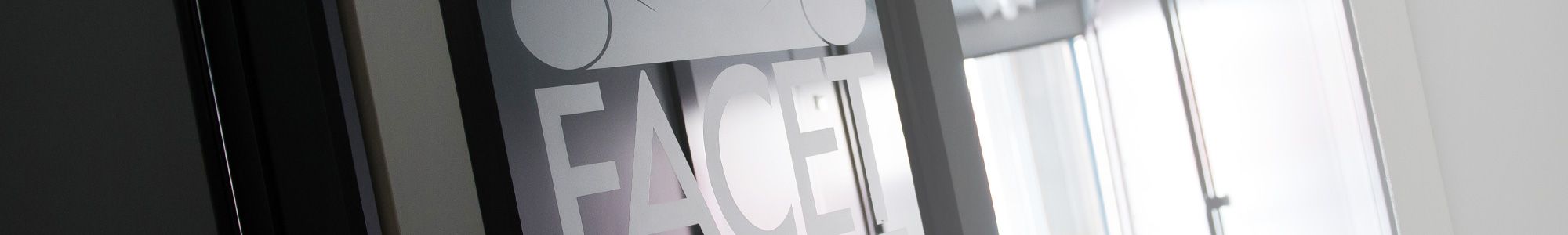 Productos Facet: Bombas eléctricas de combustible para vehículos y maquinaria