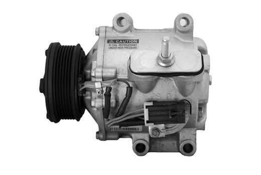 Compressor de ar condicionado Sanden TRSA12 12V para Chevrolet Trailblazer | C51-4910