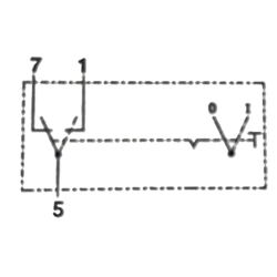 Interruptor 12V SWF 521022